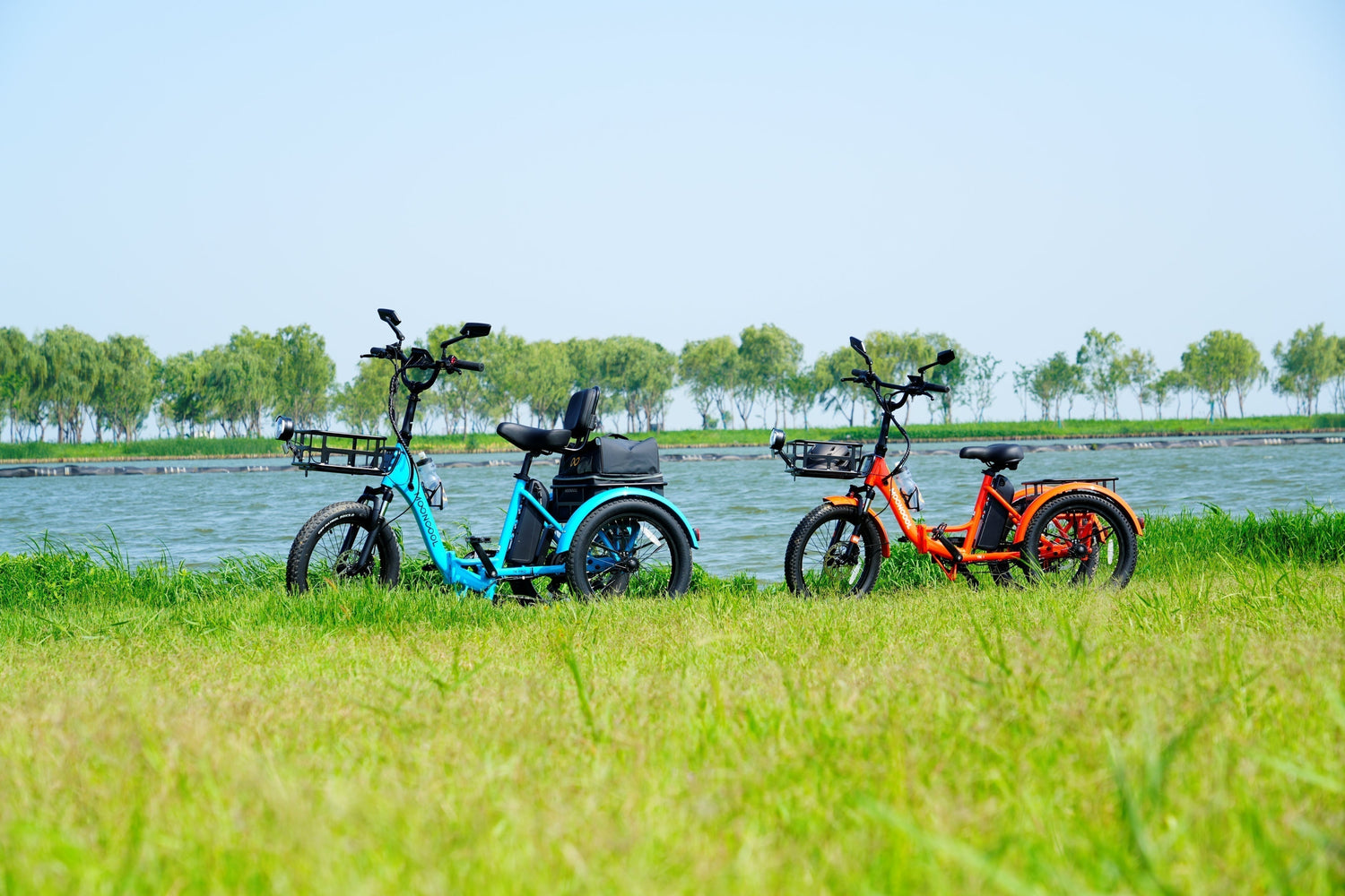 Trike Care 101: Warding Off Electric Trike Damage