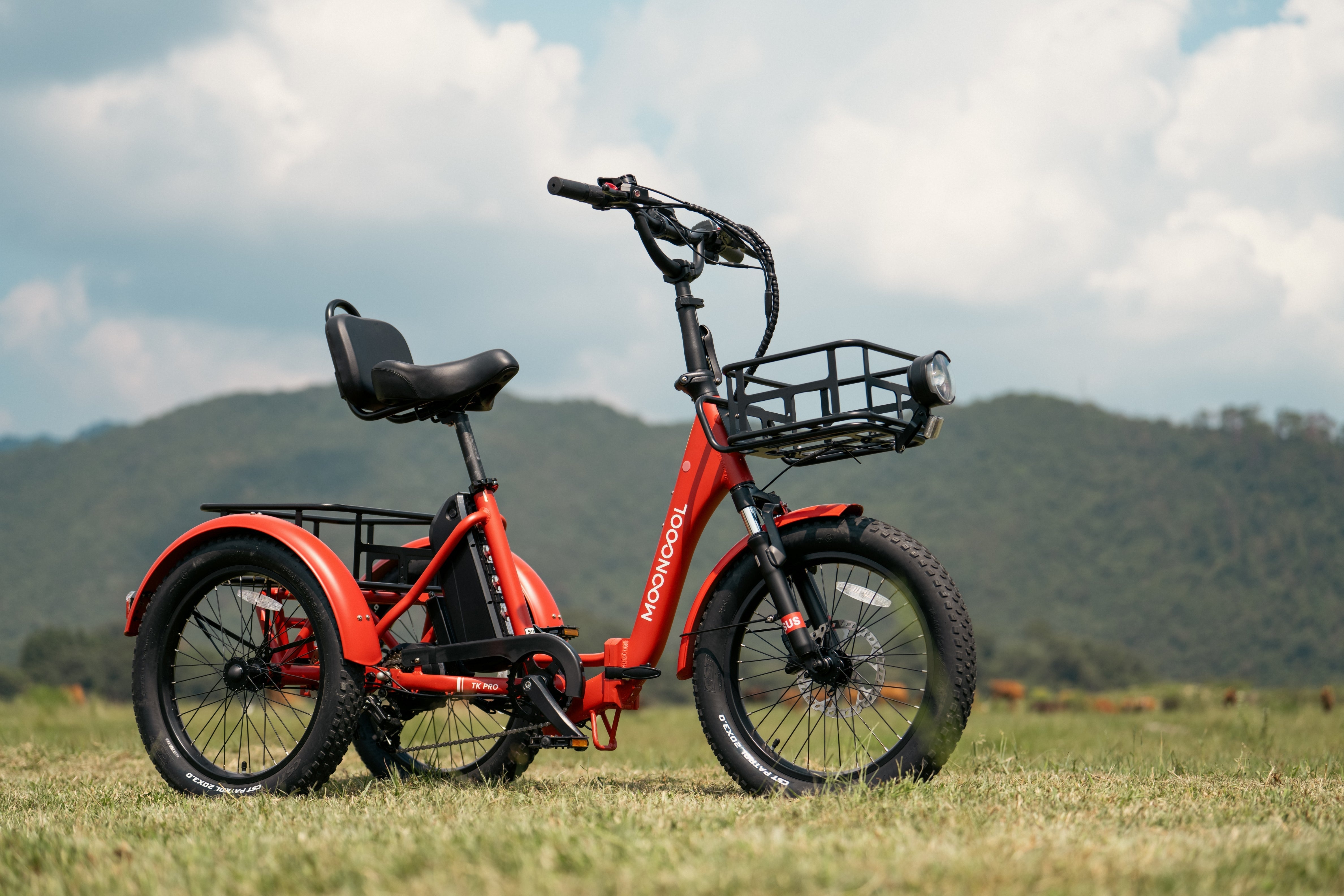 Safety Measures: Maintaining Balance on Electric Trikes