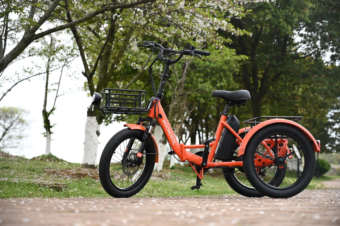 Unleash Unrivaled Durability: The TK1 Folding Electric Trike