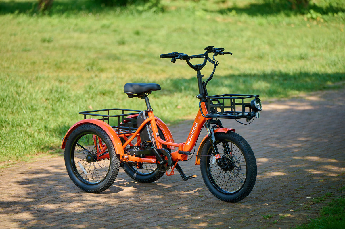 Understanding Weather Influence on Electric Trike Performance