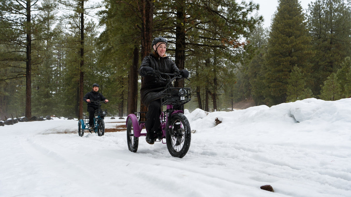 The Rise and Growth of the Electric Trikes Market