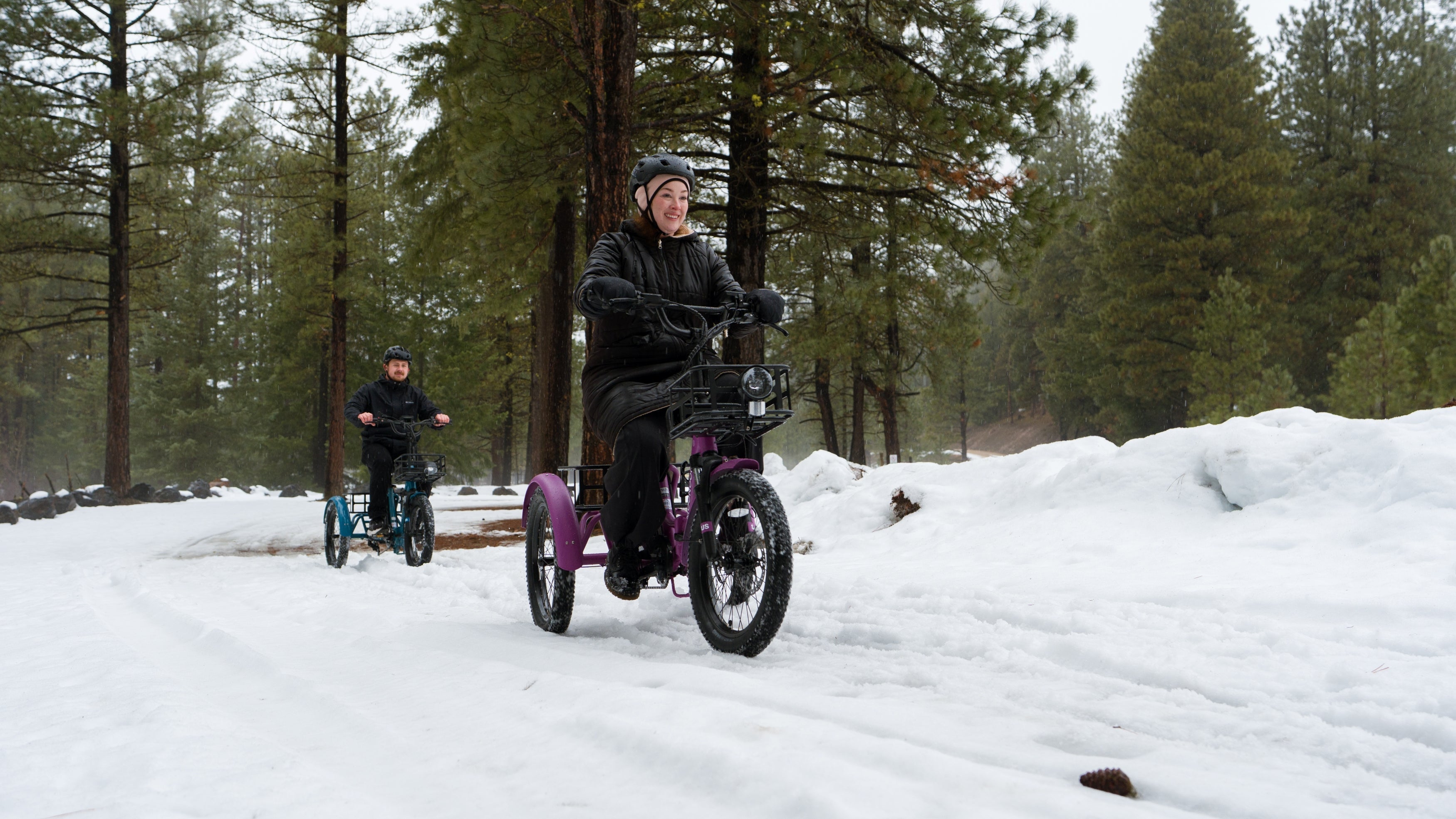 The Rise and Growth of the Electric Trikes Market