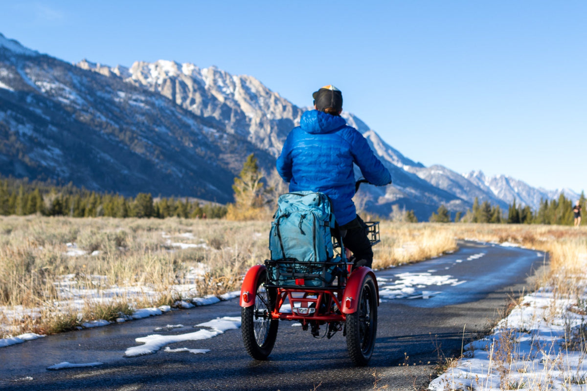 Key Points to Consider for Potential Electric Trike Owners