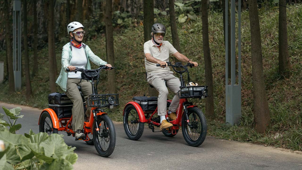 The Importance of UL Certification for Electric Trikes