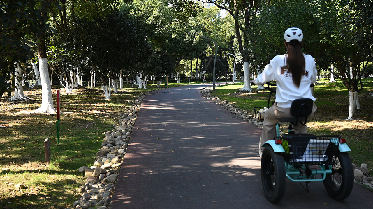 Are E-Trikes Replacing Cars for Senior Citizens?