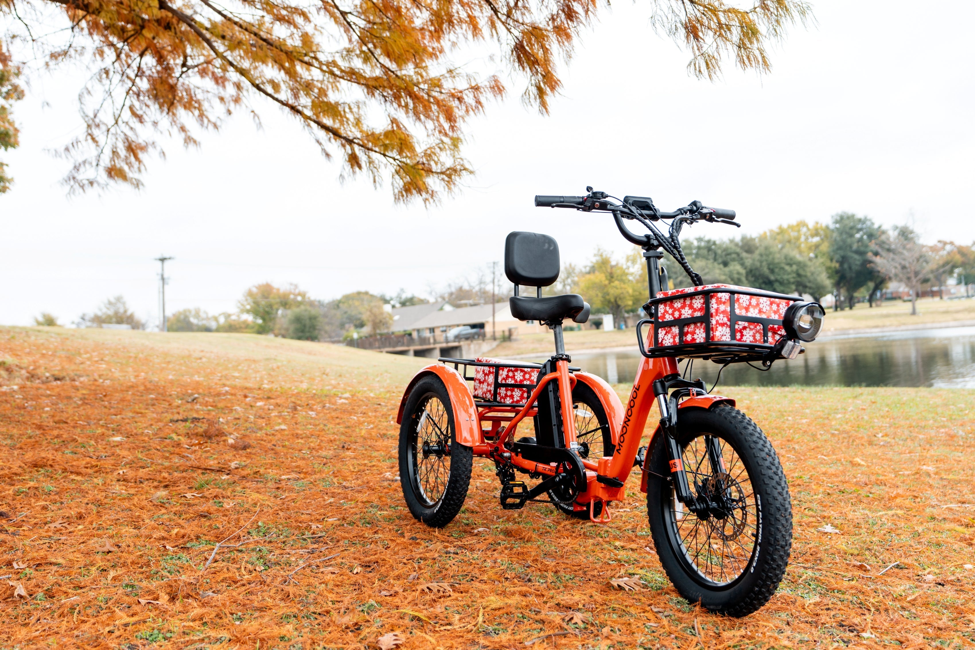 Essential Tools for Keeping Your Electric Trike Road-Ready