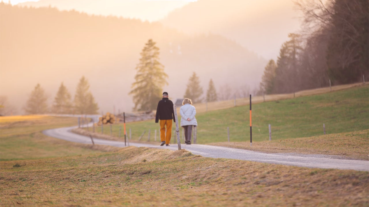 Cruise to Grandma's House in Style: Riding Your Electric Trike to Family Holiday Visits