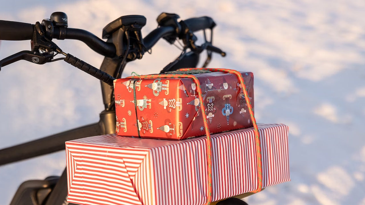 Electric Trikes: The Perfect Holiday Gift For All Adult Relatives