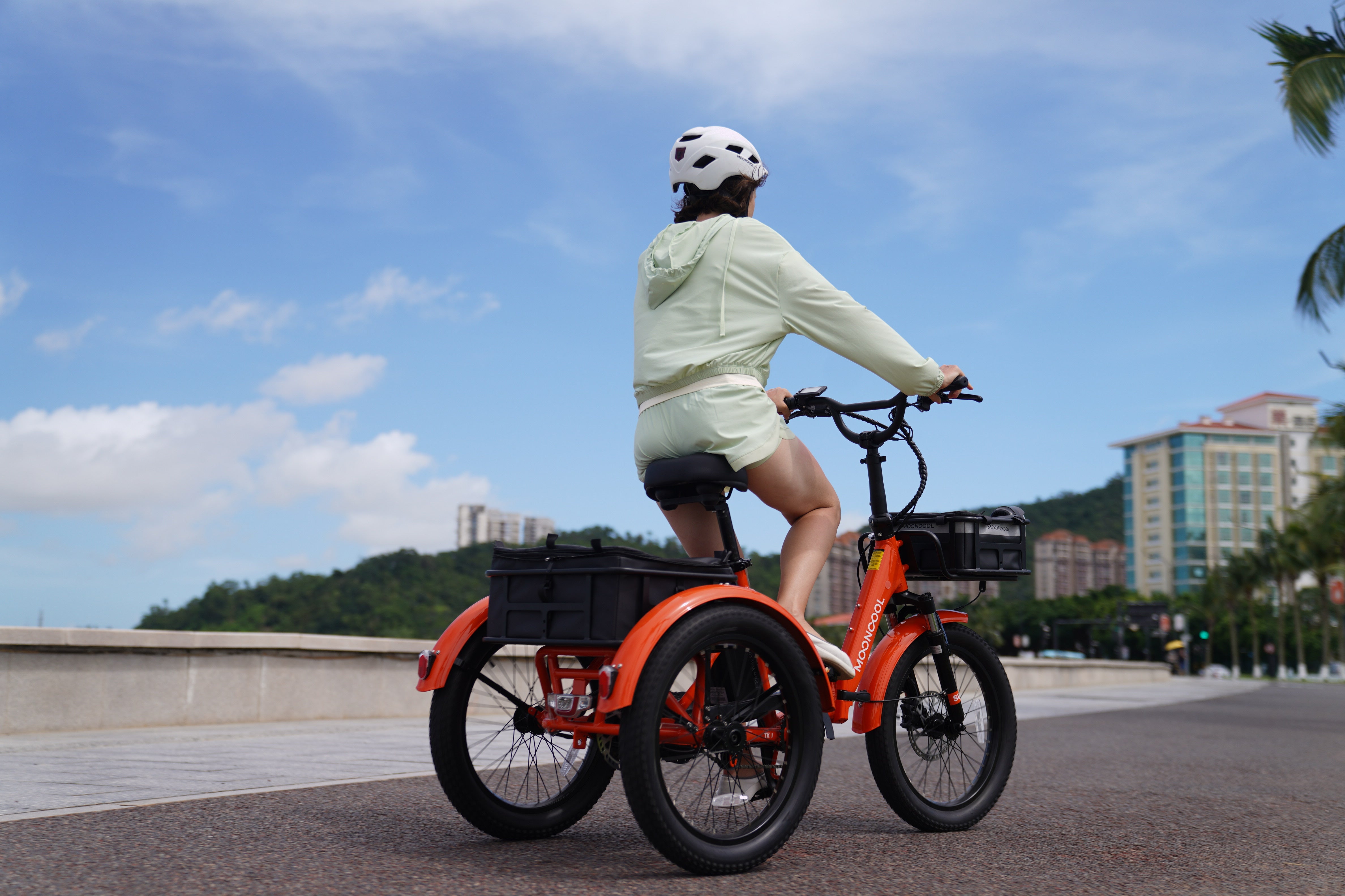 Understanding Common Problems in Electric Trikes