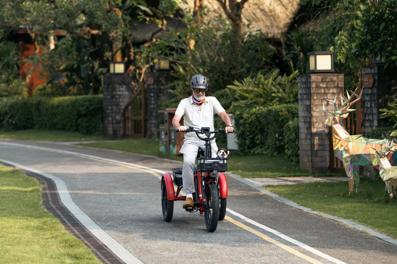 Ensuring Longevity: Proper Storage for Electric Trikes