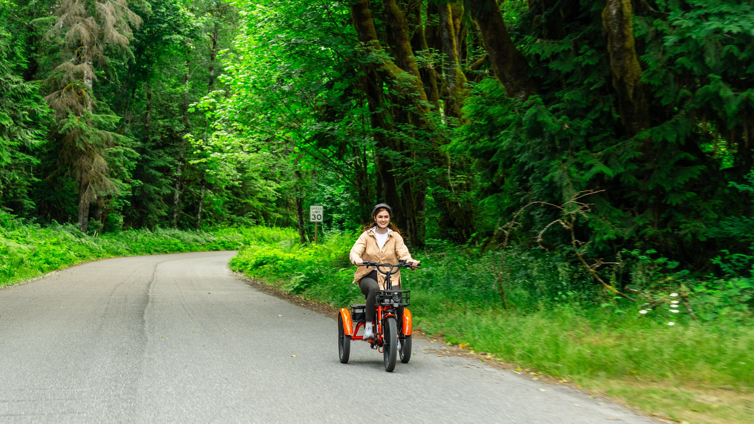 Reducing Your Electric Trike's Maintenance Cost: A Guide