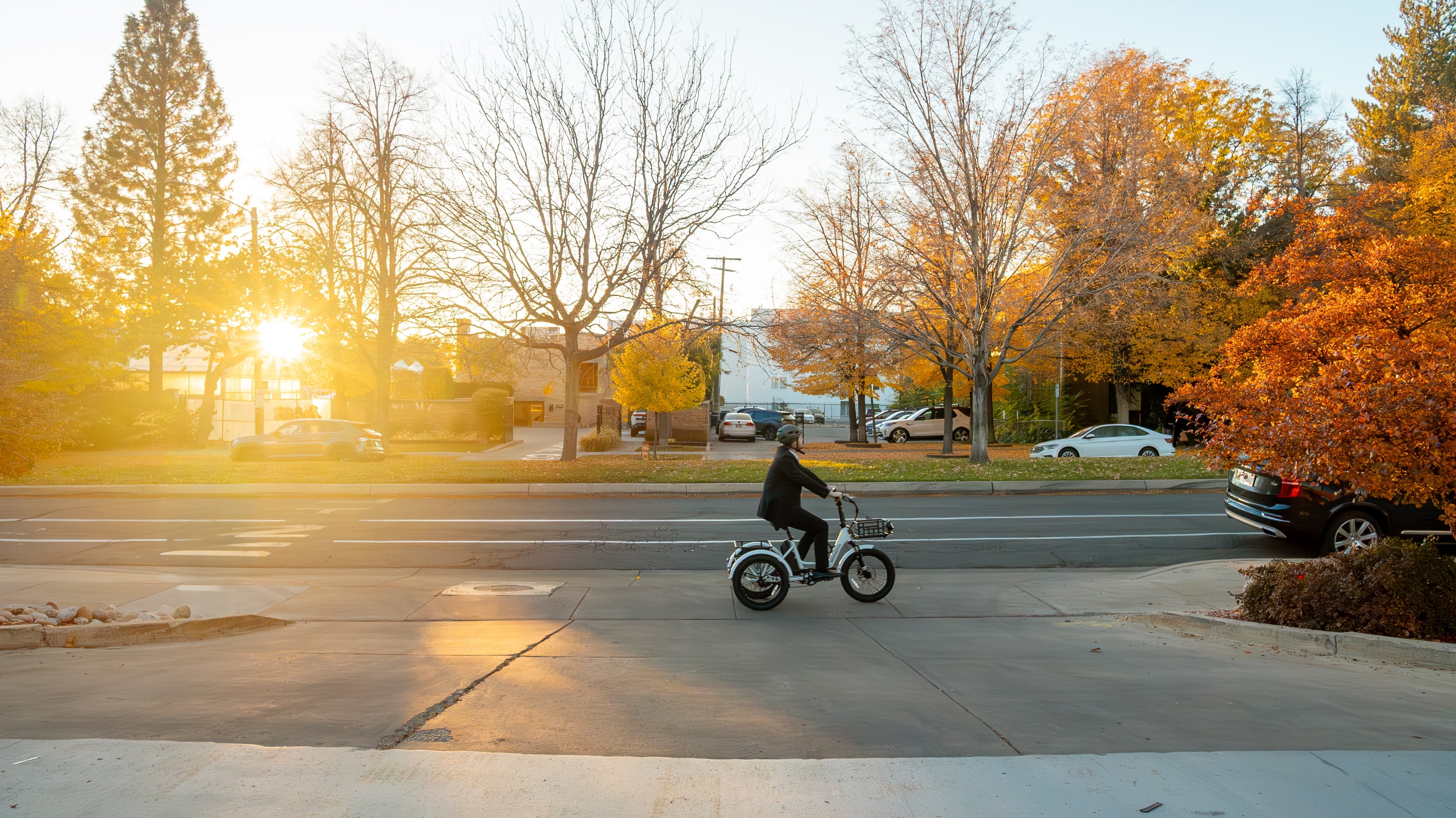 Bold Moves: How Tire Choices Can Boost Electric Trike Performance
