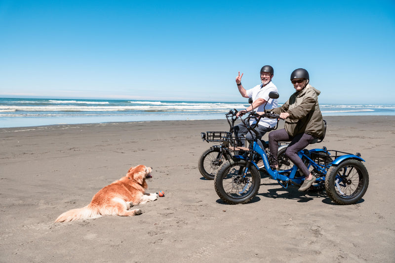 Built for the Heavy Work: Why the 400-lb Capacity Mooncool FT1 Is the Ultimate Farm and Garden Utility Trike