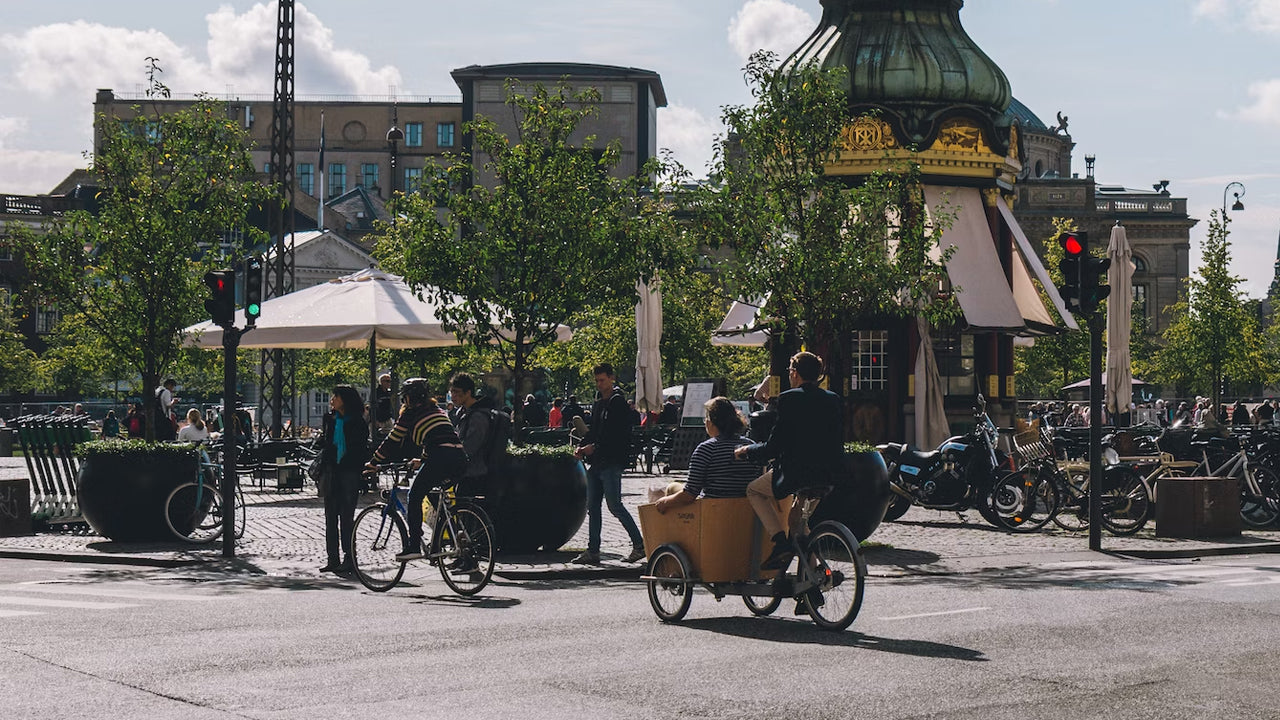 Electric Mobility Scooters vs. Electric Trikes: Which Is Better for Seniors?