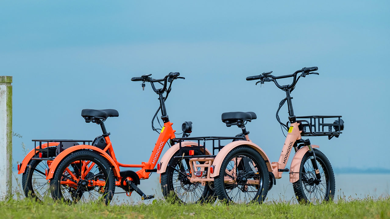Lifespan of Electric Adult Trikes