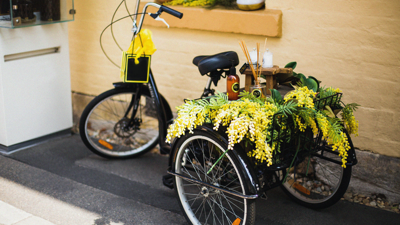 Recumbent vs Upright E-Trikes: Unveiling the Best Choice for Your Rides!