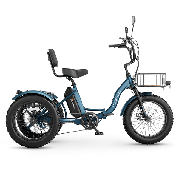 FT1 Fat Tire Electric Trike