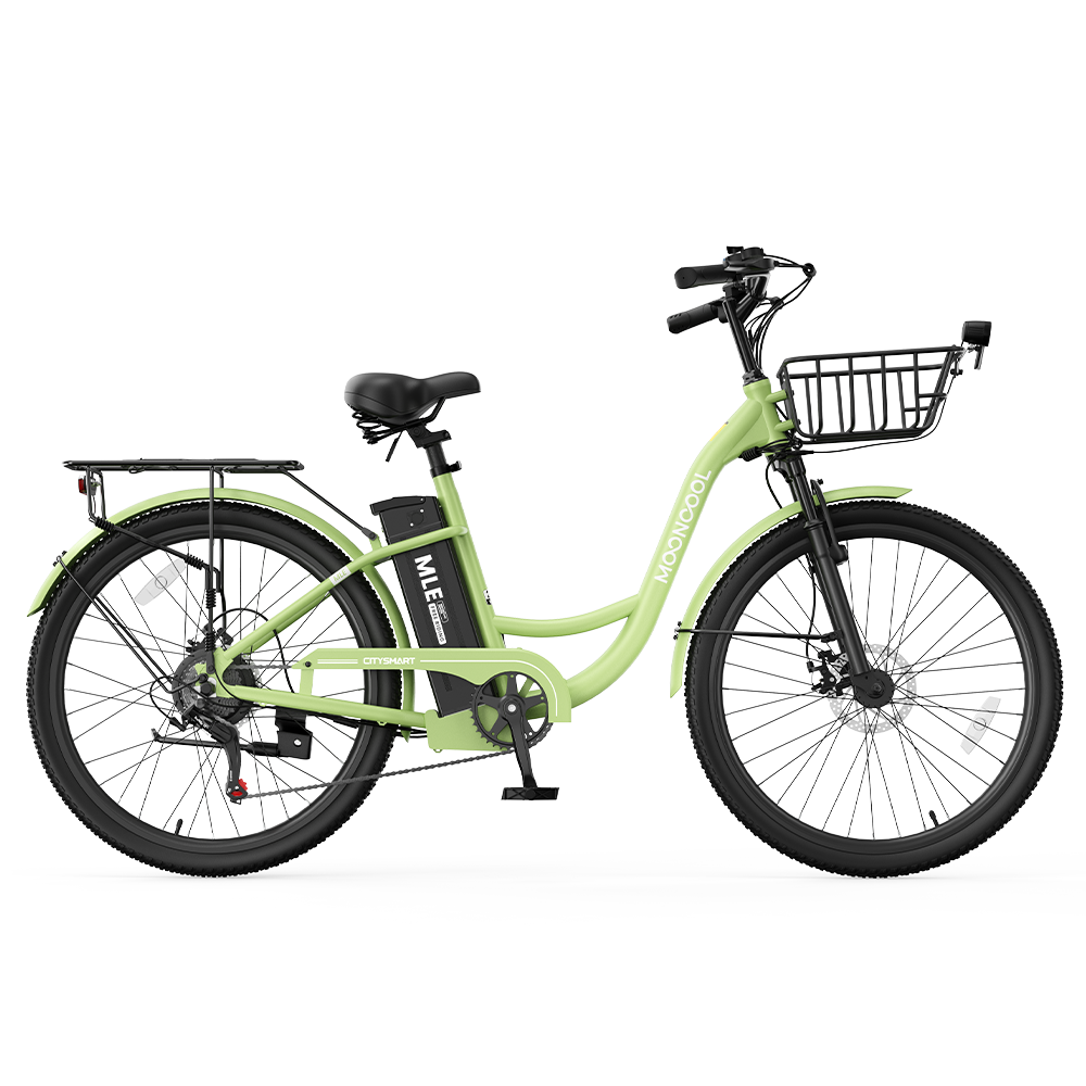 MLE Electric Bike