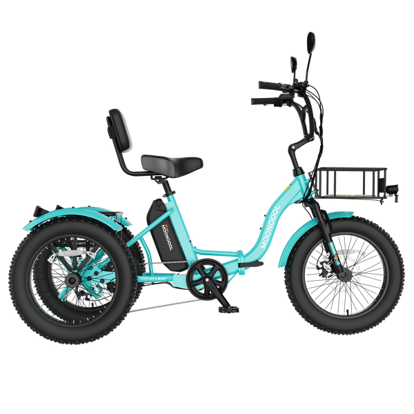FT1 Fat Tire Electric Trike