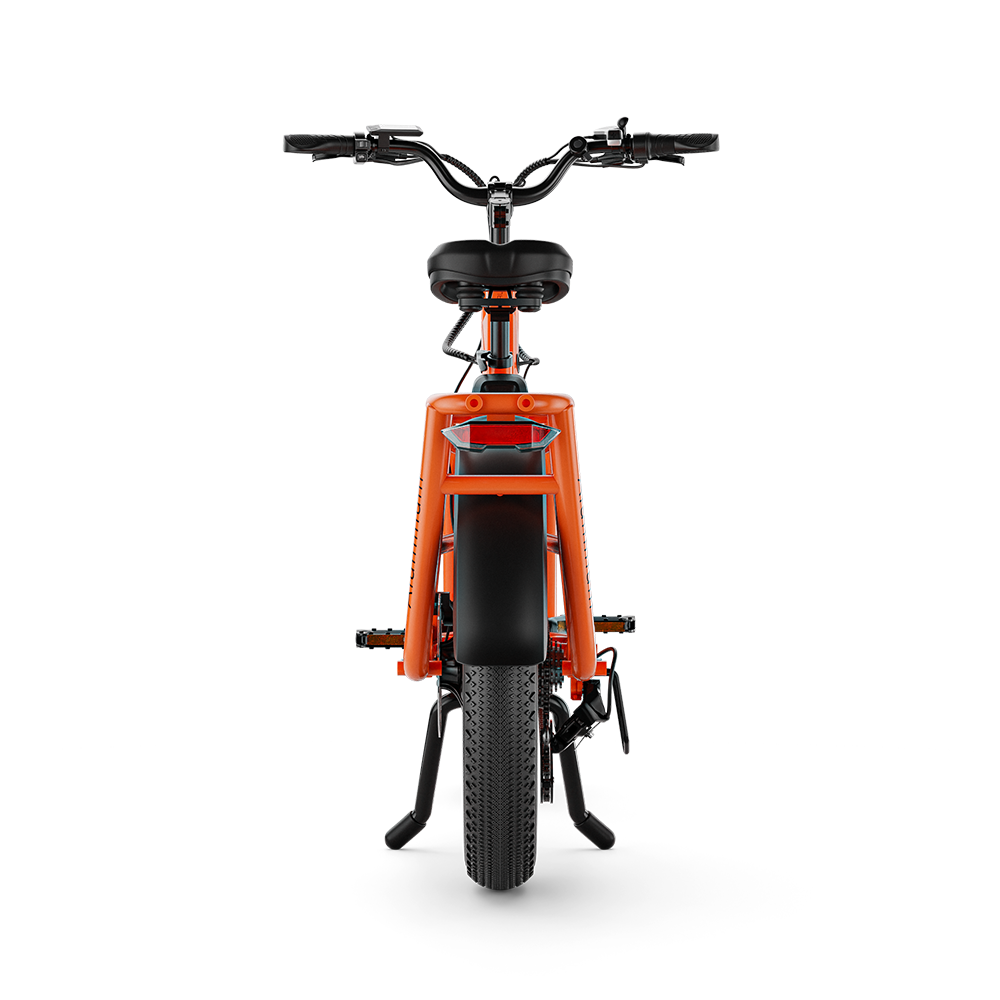 CG2 Electric Cargo Bike