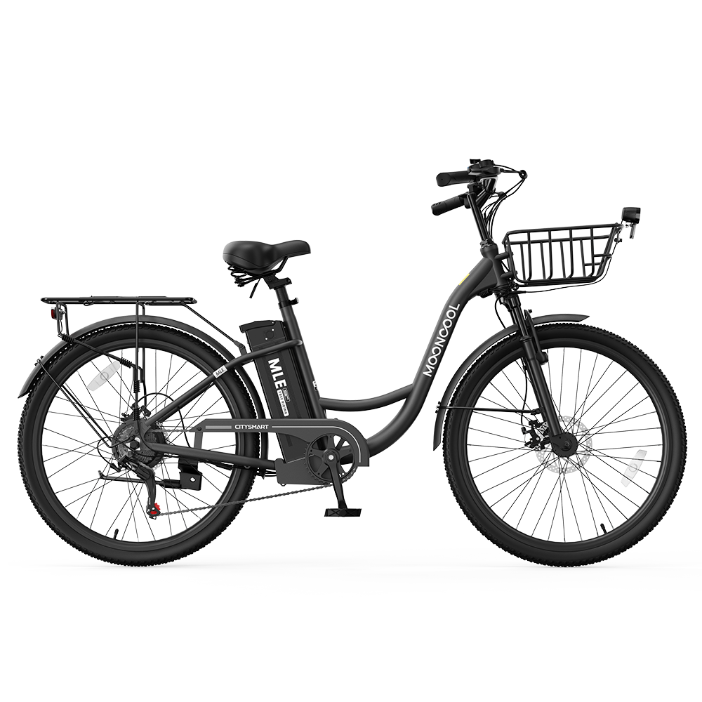 MLE Electric Bike