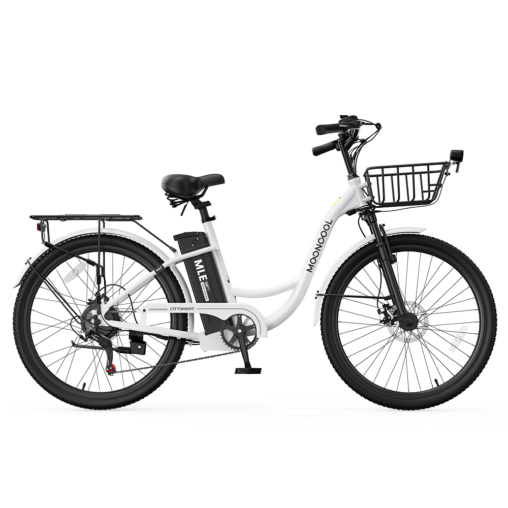 MLE Electric Bike