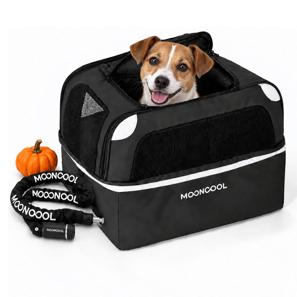 Howl-o-Ween Buddy Bundle(Not Sold Separately)