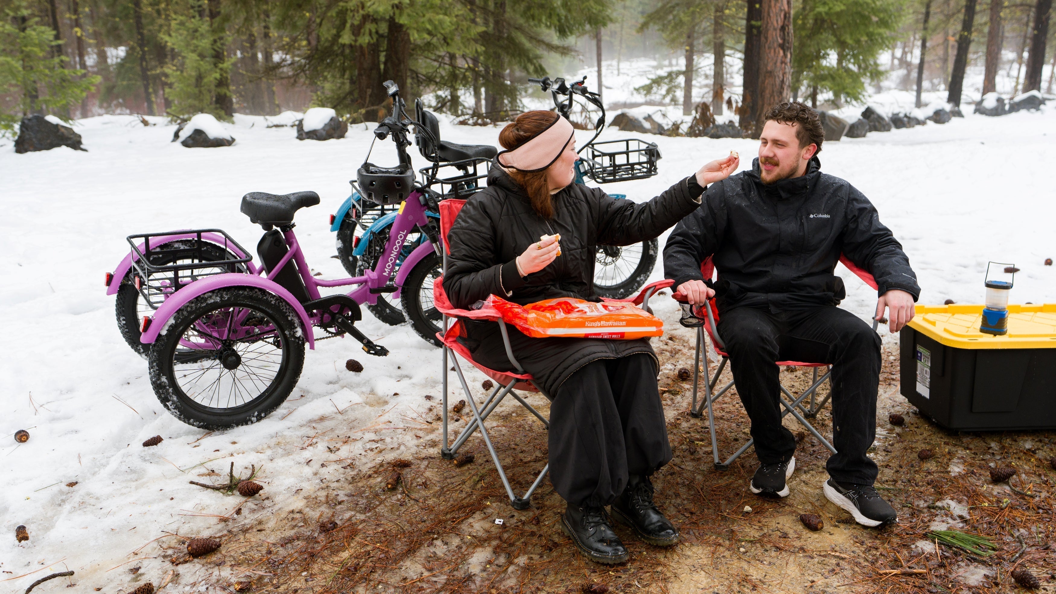 Effective Trike Maintenance for Common Electrical Issues