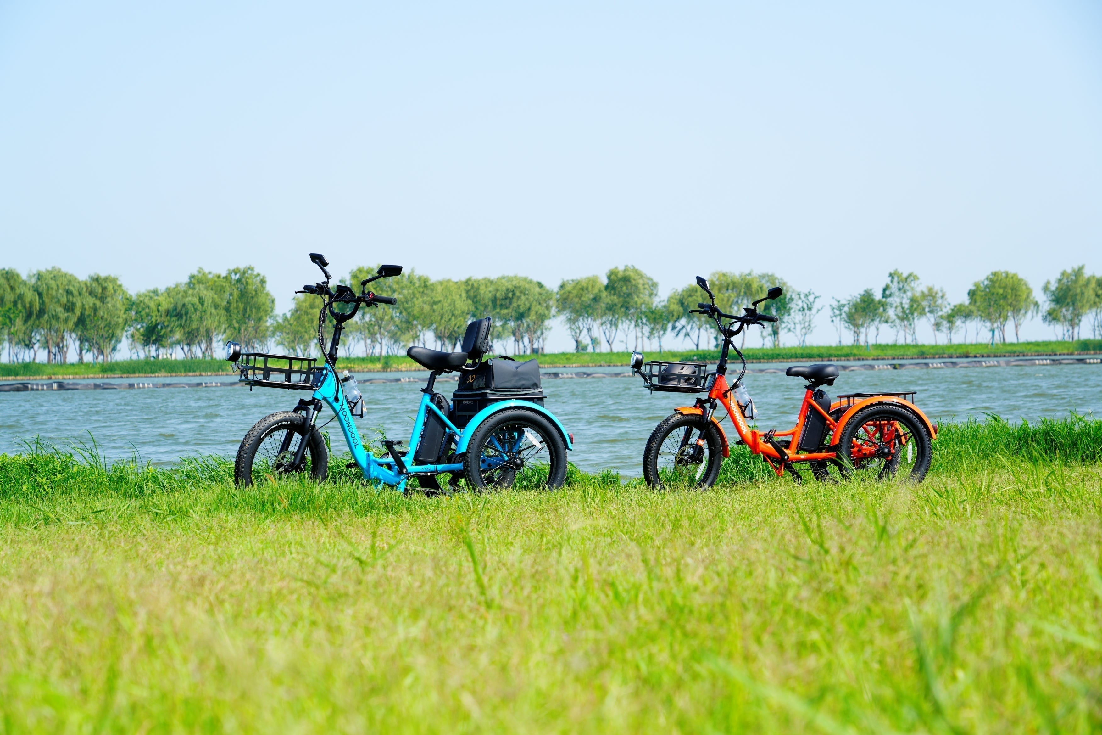 Trike Care 101: Warding Off Electric Trike Damage