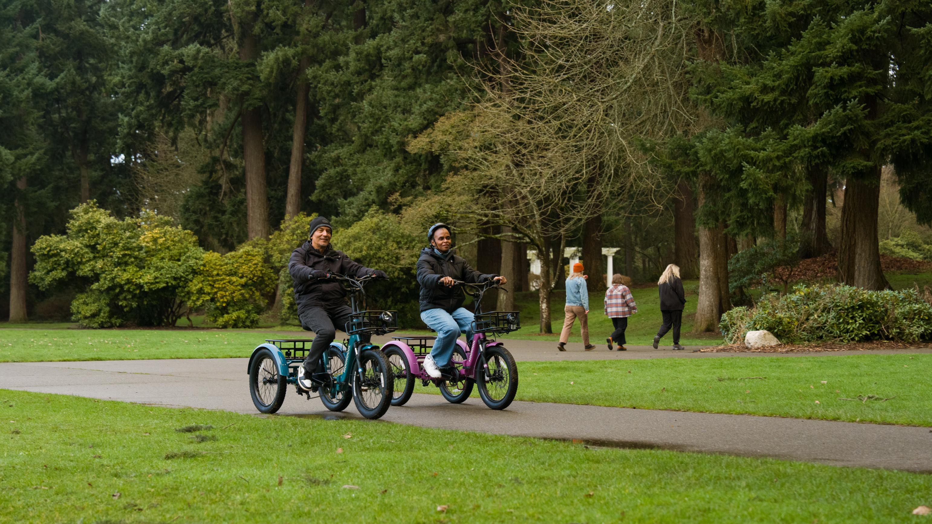 Preventive Actions to Ensure Balance on Electric Trikes