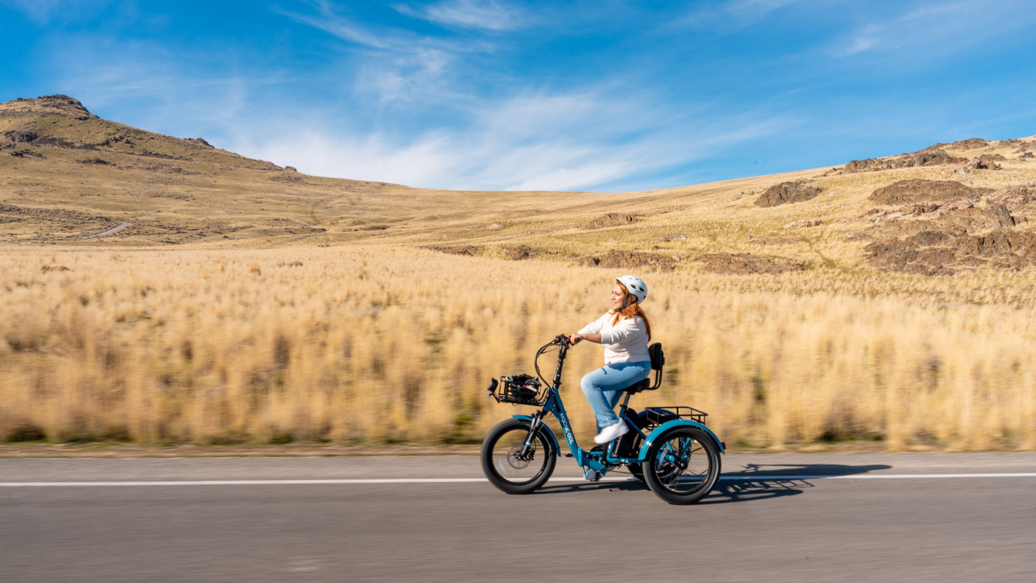 Unlocking the Affordability of Adult Electric Trikes