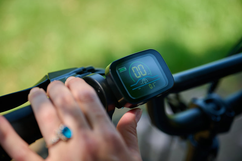 The Environmental Benefits of Electric Trikes