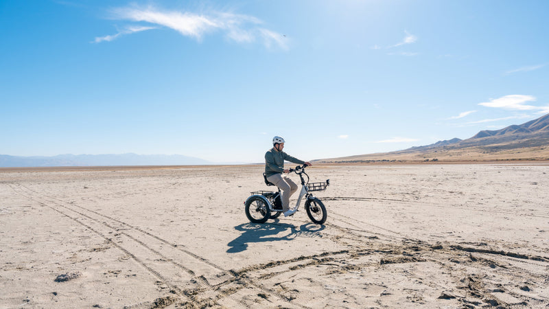 Bay Area Rails-to-Trails Perfect for Your First E-Trike Adventure