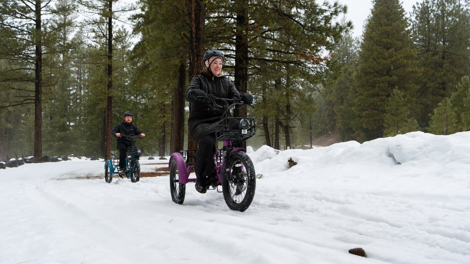 The Rise and Growth of the Electric Trikes Market