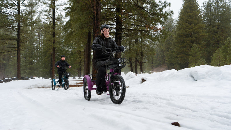The Rise and Growth of the Electric Trikes Market