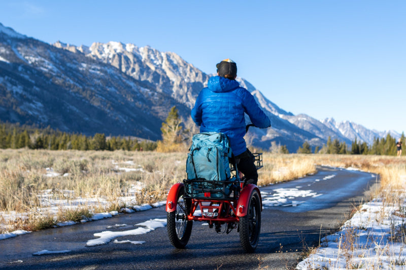 Key Points to Consider for Potential Electric Trike Owners