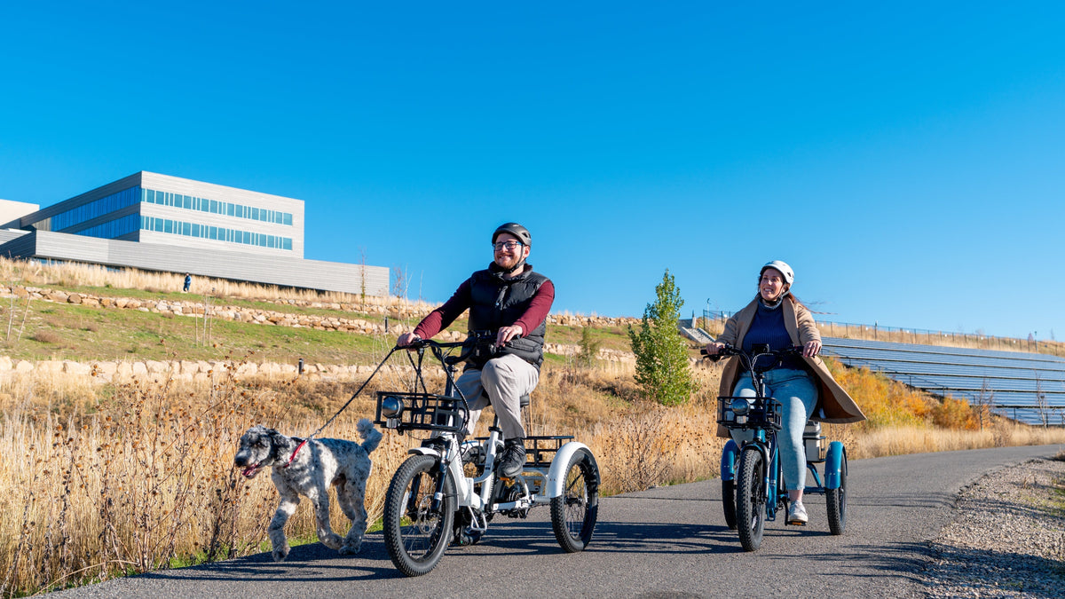 Navigating Local Rules for Operating Electric Trikes