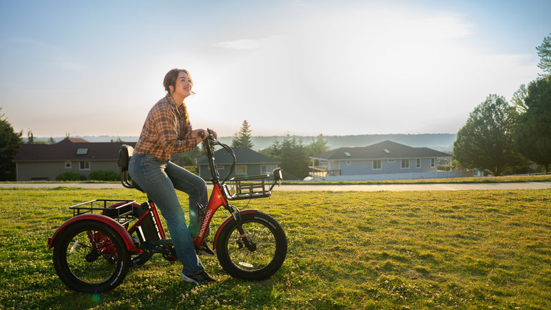 Cost Analysis: The Price Range of Electric Trikes in Market