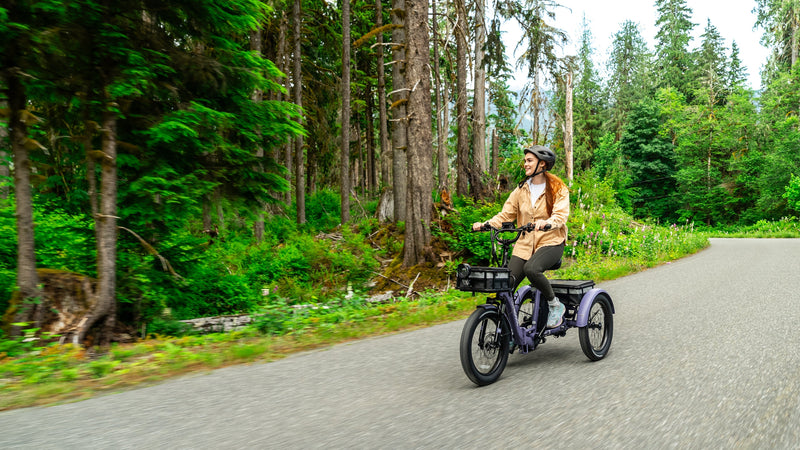 A Glimpse Into Pivotal Milestones of Electric Trikes History