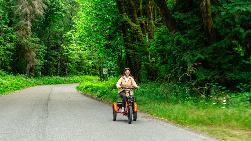 Reducing Your Electric Trike's Maintenance Cost: A Guide