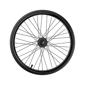 Rear Wheel Rim