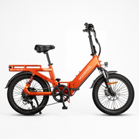 POP Folding Electric Bike