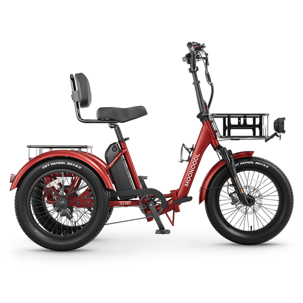 TK2 PRO Electric Trike