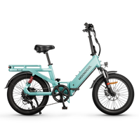 POP Folding Electric Bike