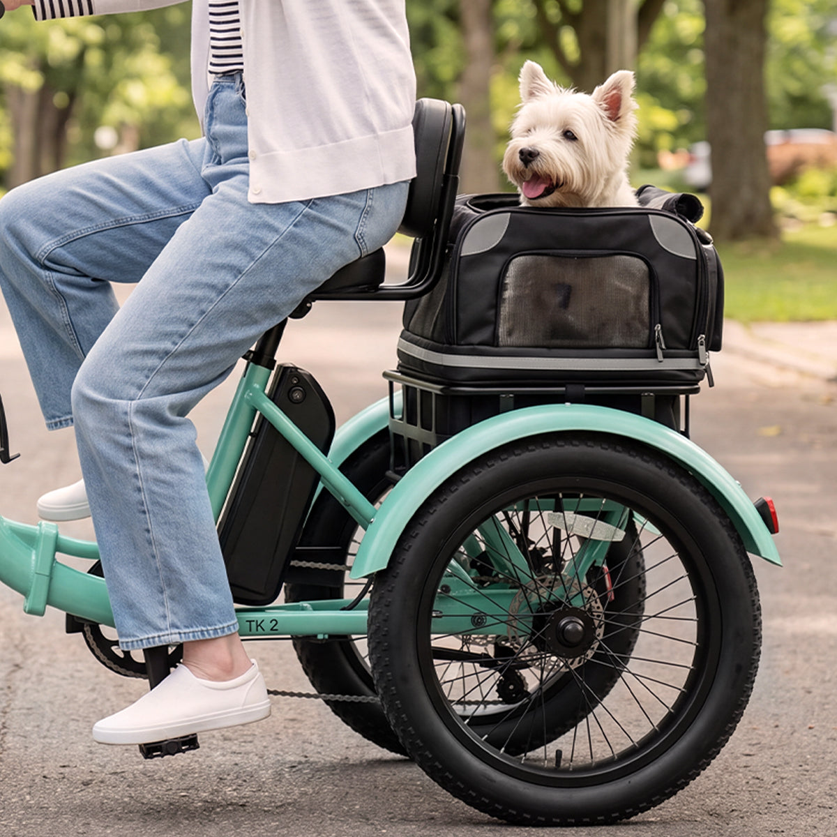 TK2 Folding Electric Trike