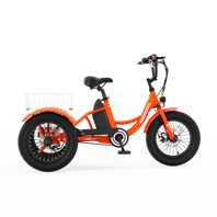 CD1 Electric Youth Trike