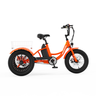 CD1 Electric Youth Trike