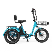 TK Pro Electric Trike