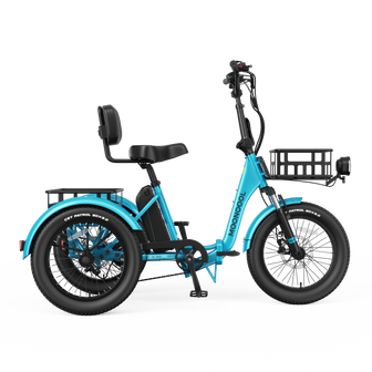 TK Pro Electric Trike