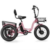 TK1 Folding Electric Trike